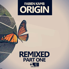 Fabien Kamb - Feels Like Disco (Bjorn Von Ezze dub) /Low Flow Records/