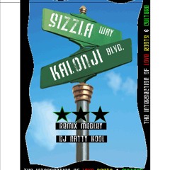 Sizzla Kalonji Remix Medley *DJ NATTY KOOL*