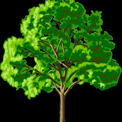 Tale of Your Despair