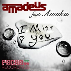 DJ Amadeus ft. Amuka - I Miss You (Airloom & Jon Billick Remix)