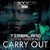 Artwork for Timbaland - Carry Out (DJ Rock City Remix).mp3