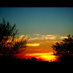 أخليت قلبي من سواك