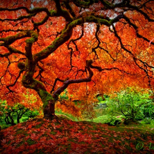 DJ Stuff Progressive House Mix #2 18-7-12