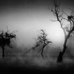 Raus aus dem Nebel