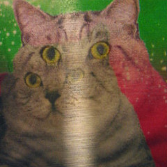 Hatsune Miku vs Merzbow - Love Is A Promotion Man