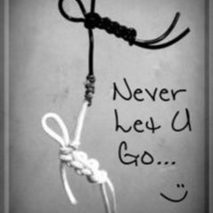 Never Let U Go Ft. Rob HoodZ