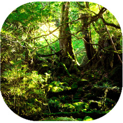 Background Soundtracks
