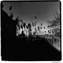 The Cinematic Orchestra - To Build a Home Instrumental