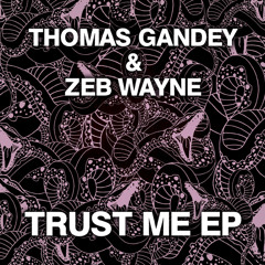THOMAS GANDEY & ZEB WAYNE - TRUST ME - (TRUST ME EP) - SOUTHERN FRIED RECORDS