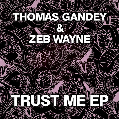 THOMAS GANDEY & ZEB WAYNE - TRUST ME - (TRUST ME EP) - SOUTHERN FRIED RECORDS