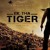 Artwork for EK THA TIGER - BANJARA (RUBENS WORK ON PROGRESS).