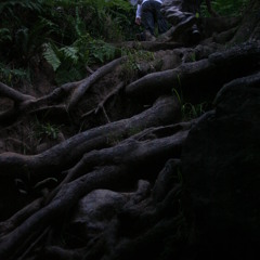 Gnarface - guerilla groove