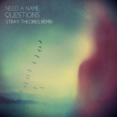 Need A Name - Questions (Stray Theories Remix)