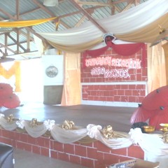 ลังกาพินธุ์  - ไม้เมือง