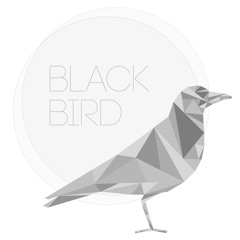 Origami Side - Black Bird