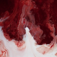 Quantifier -  Old Gramophone