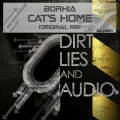 CAT'S HOME / BORHIA ( forthcoming in Dirt,Lies and Audio Black record ) OUT NOW