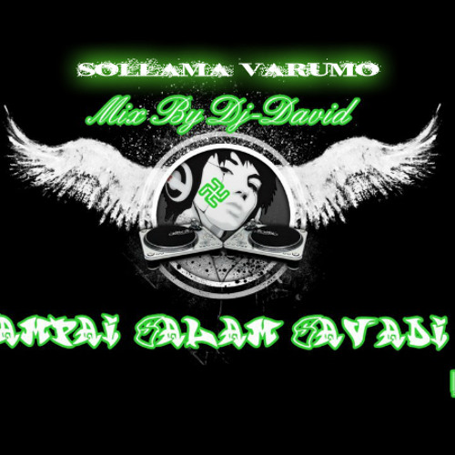 DjDavid-Sollama varumo