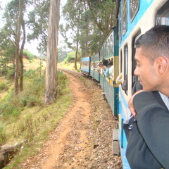 Rolskit booty shaker