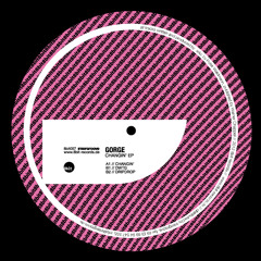 8bit057 Gorge-Changin' EP