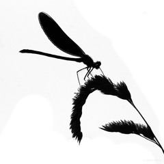 Marshall Bell - Fucking News (Original Mix)