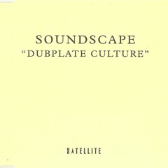 Dubplate Culture Feat: Tempo O'Neil - 49º South