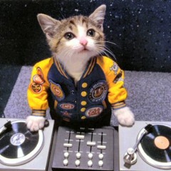 Miss Kitten - Rippin Kittin (WreckLess Bootleg)
