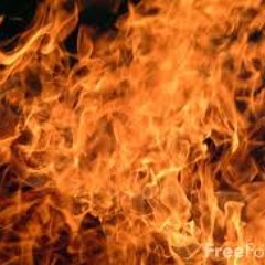 SHOOT ME: D.E.M. BIHHHH