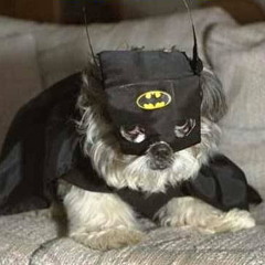 DJ ECHA & YACKO - LOOSE CONTROL ( AKIRA AS ASTRONAUGHTY OUT OF CONTROL REMIX )