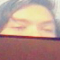 Herr Barr - DEN NYE BAB.sib