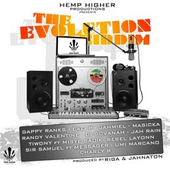 THE EVOLUTION RIDDIM MegaMix by DJ CHIQUI DUBS (Hemp Higher Prod.)