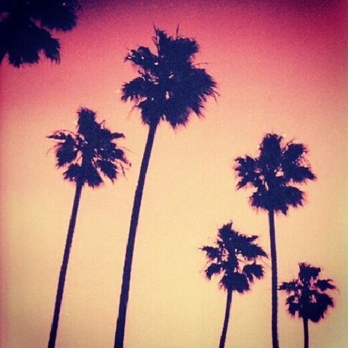 miami nights 1984 - mn84 theme (bernaudio remix)