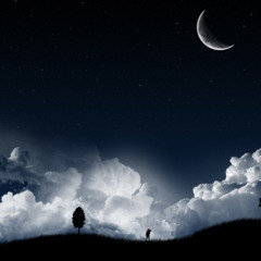 Lion's Roar Beats - Wakeful [Beat]