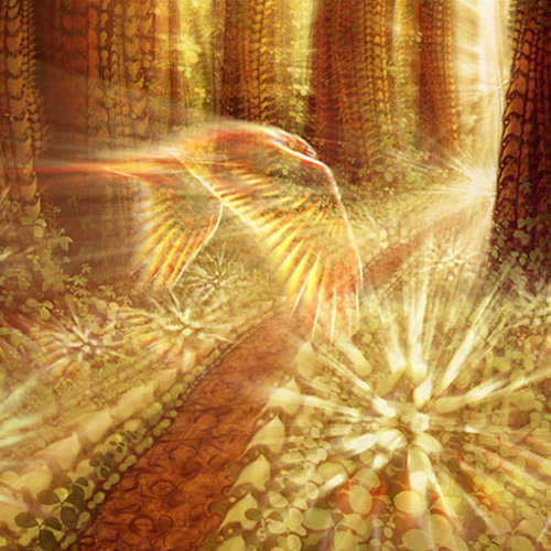 Svemirski Modulator - In The Middle Of The Forest (Mixed)