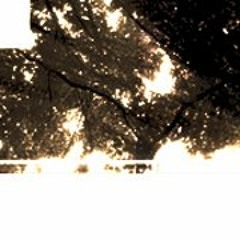 Mixset for FLiM 2012