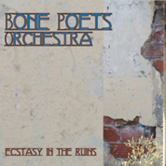01 Strange World Bone Poets Orchestra EITR