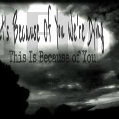 This Is Because of You