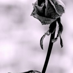 Leaving heart (demo)