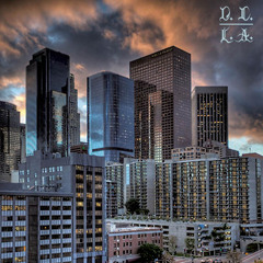 02 L.A. SHARK