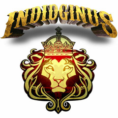 Indidginus -riddimix - free dl   downloadable minimix