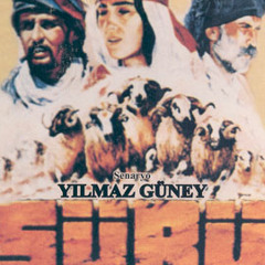 Sürü - Brindarım