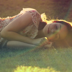 Nunca nos encontraran - Cronopios