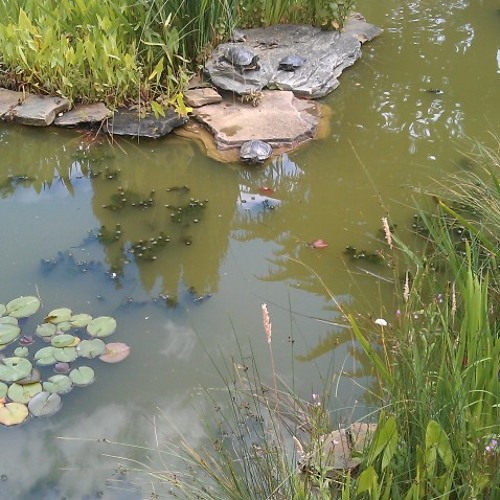Source of the Nile [Disquiet0029-countzero]