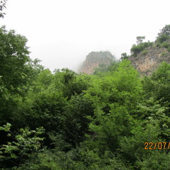MOHSEN CHAVOSHI