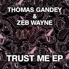 Thomas Gandey & Zeb Wayne - Trust Me