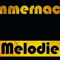 Luca T & Schmidde @Sommernachtsmelodie