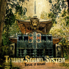 02 - TIBURK SOUND SYSTEM - PLANE TO NOWHERE