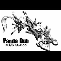 06 - PANDA DUB - IN DUB WE TRUST