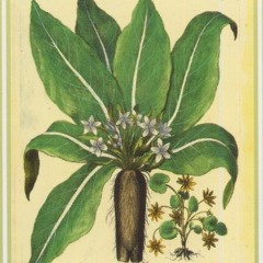 Gorgeous May (film score)