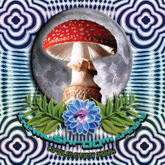 VA - The Mushroom speaks compiled by Dirtyphreak -  LAMAT RECORDS out Now  !!